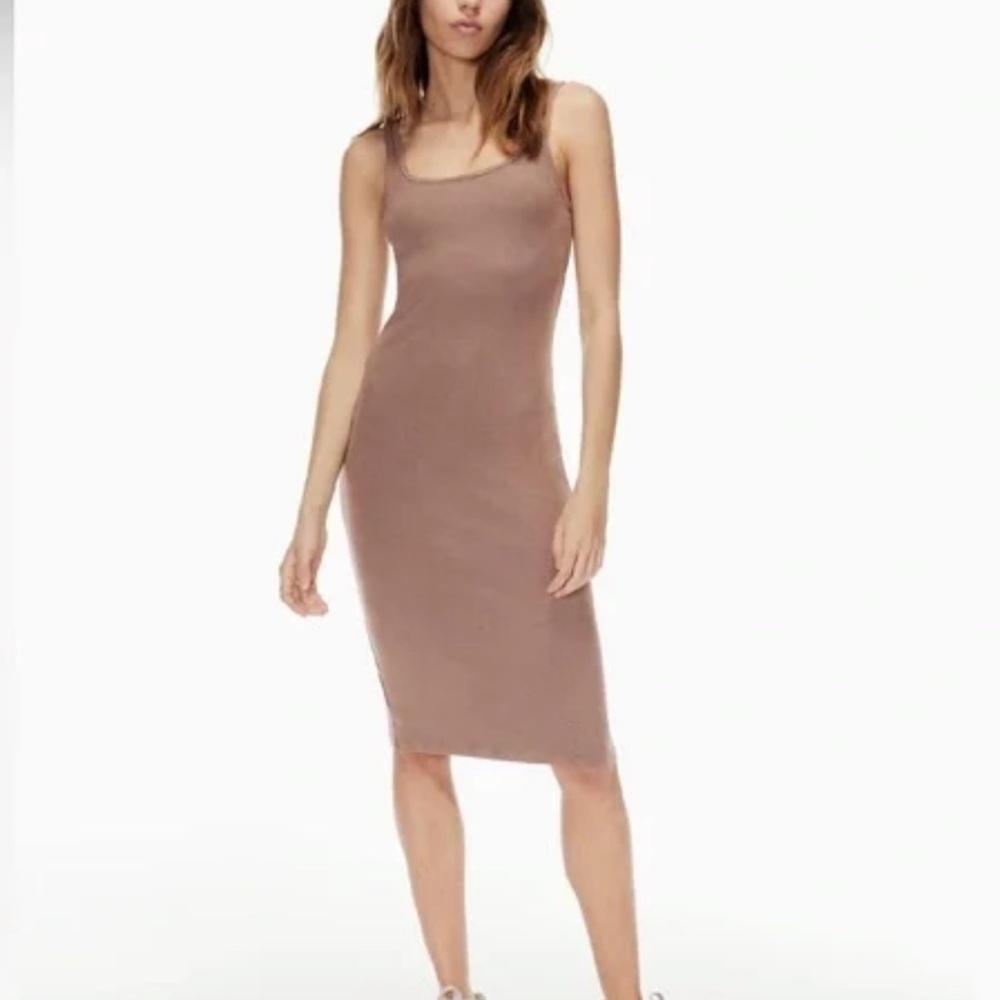 Aritzia Tan Midi Dress